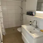 K9 Apartmán Munster (North Rhine-Westphalia)