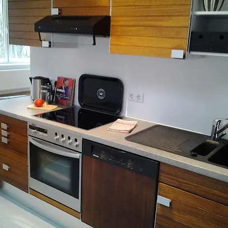 K9 Munster (North Rhine-Westphalia)