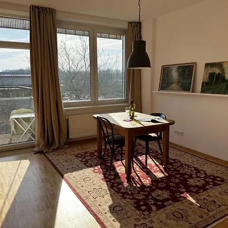 K9 * Munster (North Rhine-Westphalia)